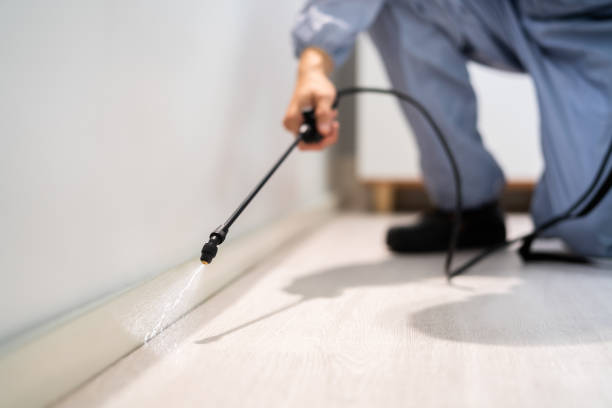Professional exterminator conducting IPM assessment in Keego Harbor